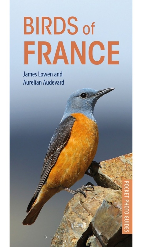 Birds of France | vogelgids Frankrijk 9781472949011 James Lowen, Aurelien Audevard Bloomsbury   Natuurgidsen, Vogelboeken Frankrijk
