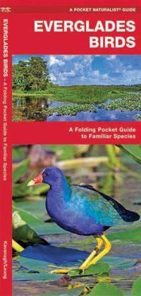 Everglades Birds 9781583553350  Waterford Press   Natuurgidsen, Vogelboeken Florida