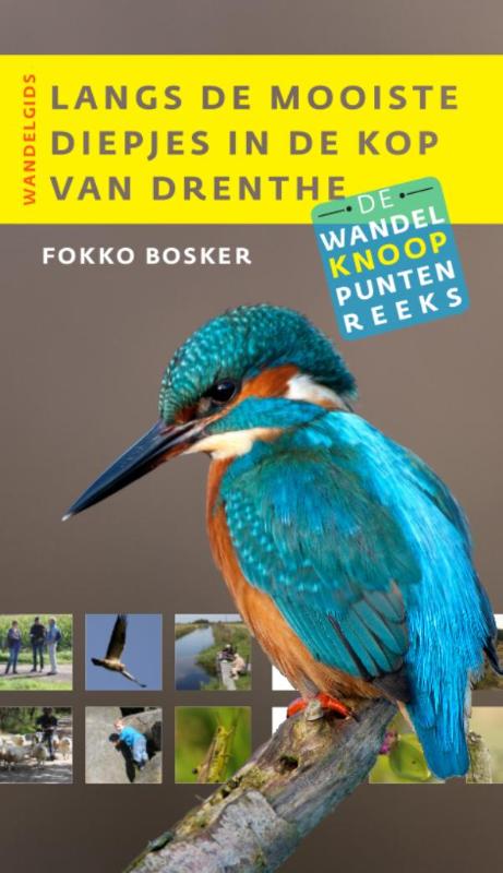 Langs de mooiste diepjes in de Kop van Drenthe 9789460224218 Fokko Bosker LM Publishers Wandelknooppuntenreeks  Wandelgidsen Drenthe